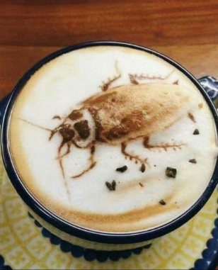 广东限定白切鸡咖啡!网友:爱吃白切鸡和爱喝咖啡的都沉默了 广东限定白切鸡咖啡!网友:爱吃白切鸡和爱喝咖啡的都沉默了