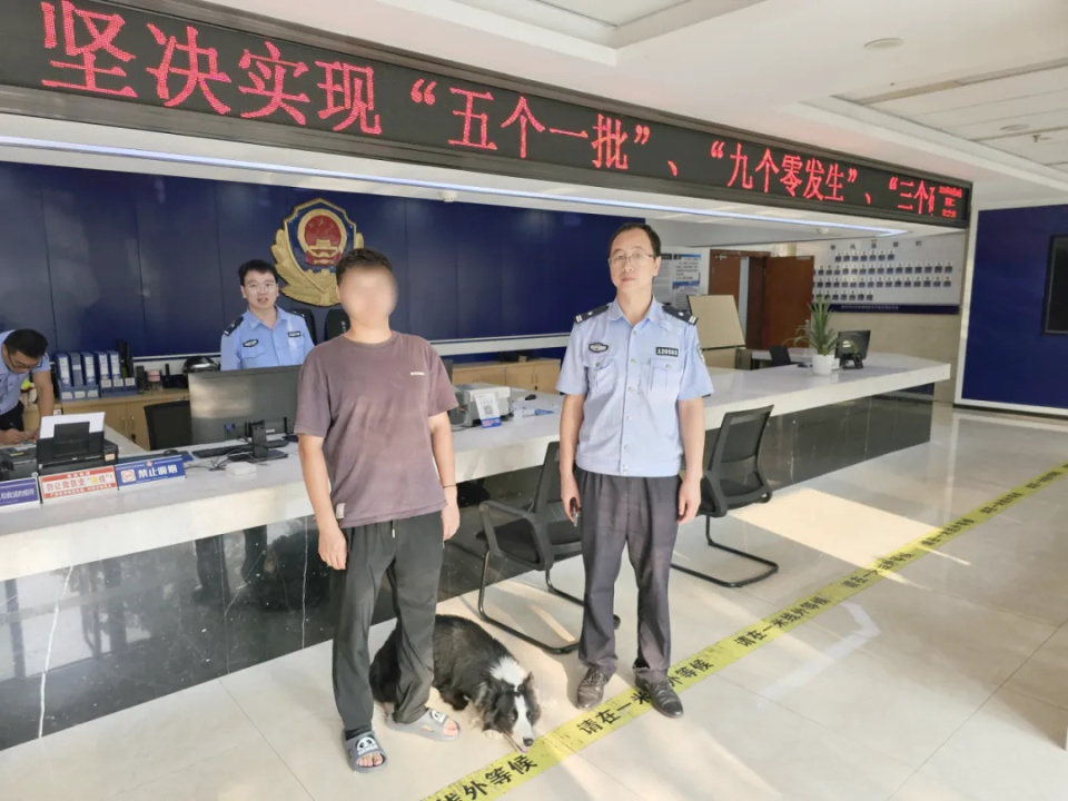 边牧走丢竟独自到派出所“报警”还留宿一晚，主人很惊喜