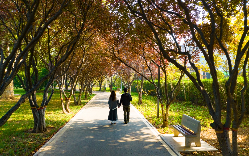 快来解锁宝藏秋景!石家庄这里秋光正好 快来解锁宝藏秋景!石家庄这里秋光正好
