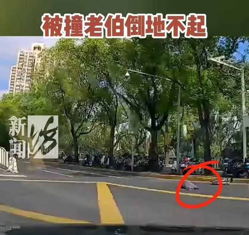 揪心!上海一对老夫妻刚走出医院,就在斑马线上被车撞飞!行车记录仪画面曝光→ 揪心!上海一对老夫妻刚走出医院,就在斑马线上被车撞飞!行车记录仪画面曝光→