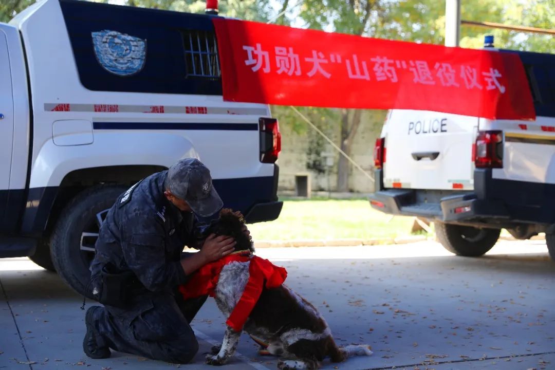 功勋犬“山药”退役临别一步三回头 网友：眼神中有千言万语