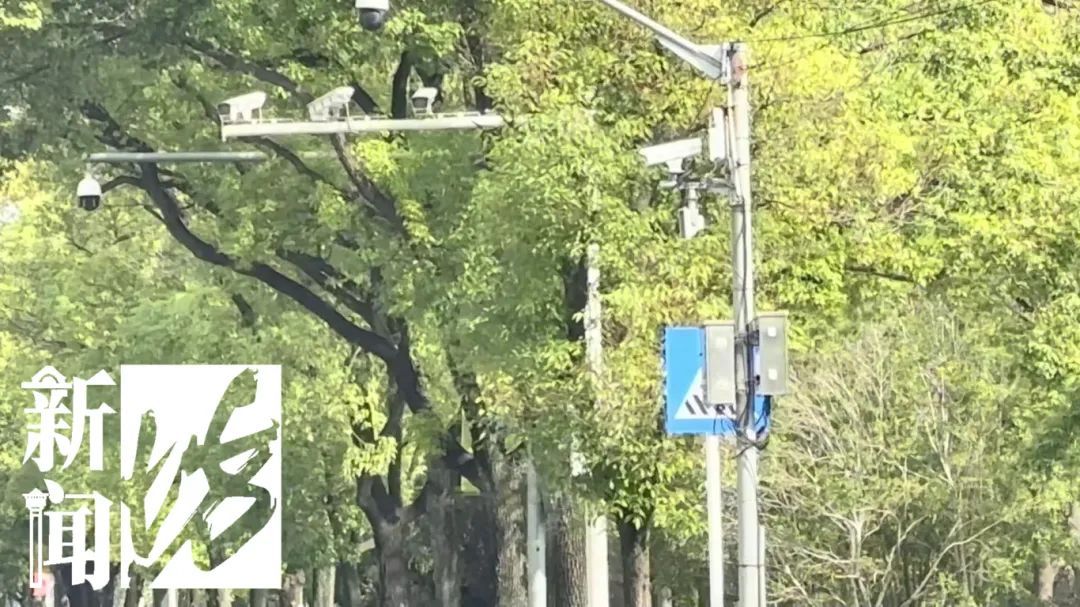 路上双双被撞！全网关注的上海轮椅老夫妻，最新情况如何？