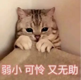 这周又得体测了？！大学生：又到了一年一度两眼一黑的时刻……