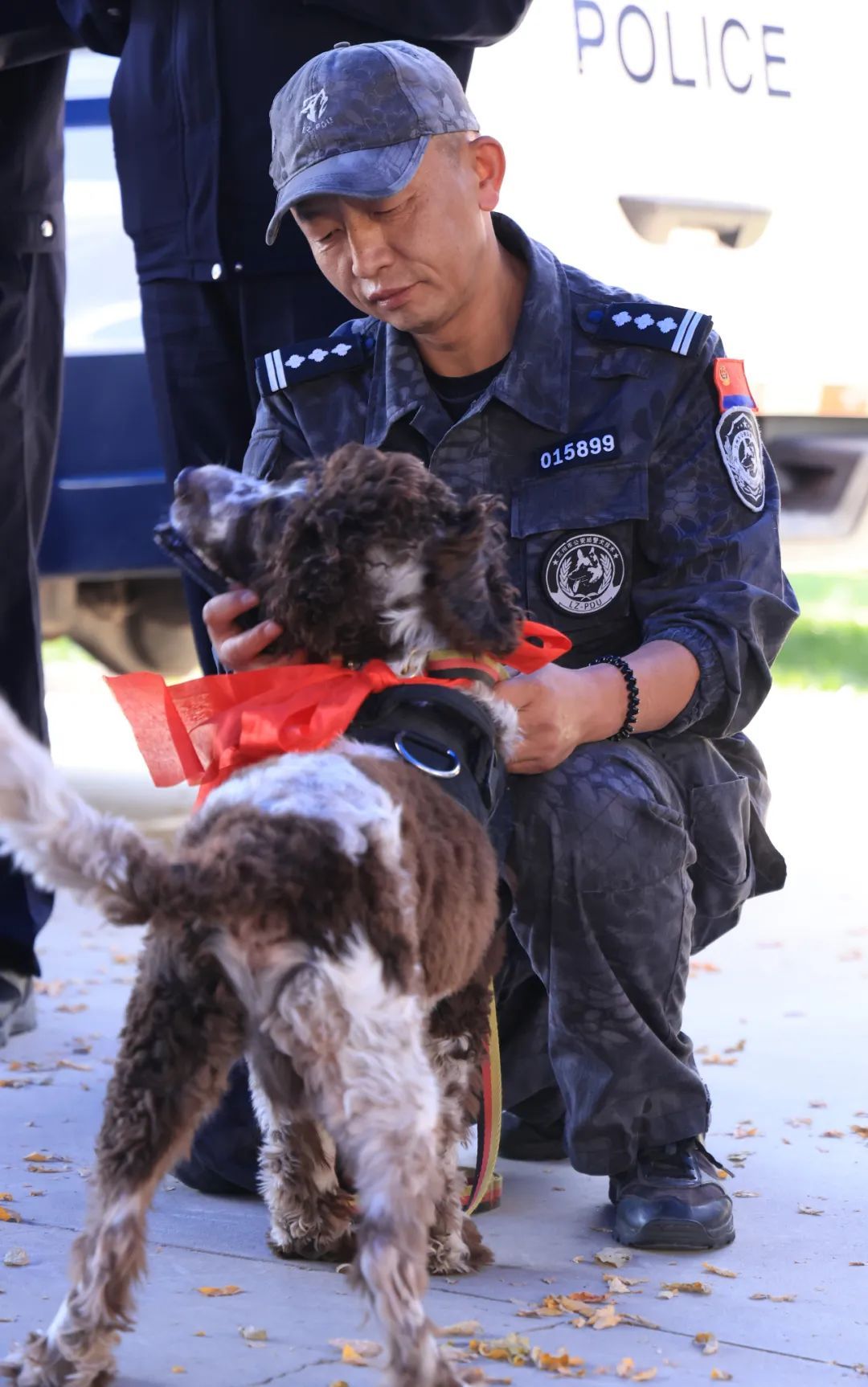 功勋犬“山药”退役临别一步三回头 网友：眼神中有千言万语