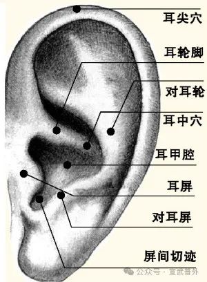 防病常搓耳 防病常搓耳