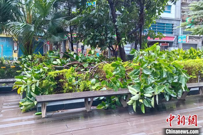 台风“康妮”登陆台湾台东 已致1死73伤