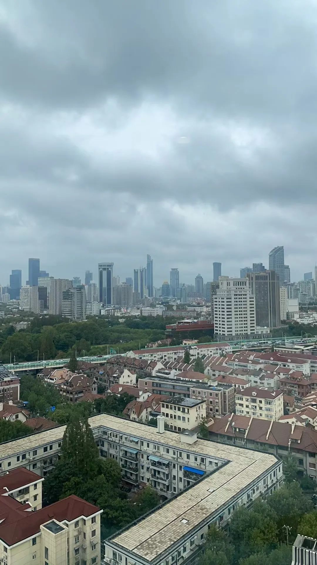 台风“康妮”过境！上海提醒囤水囤粮，杭漂：已有经验，下班就去买物资