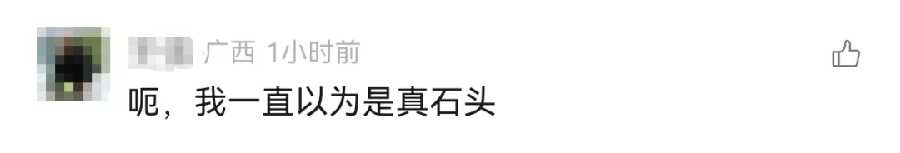 知名打卡点是假石头？深圳一景区回应