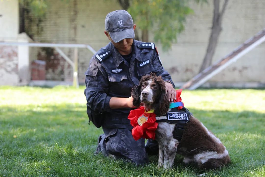 功勋犬“山药”退役临别一步三回头 网友：眼神中有千言万语