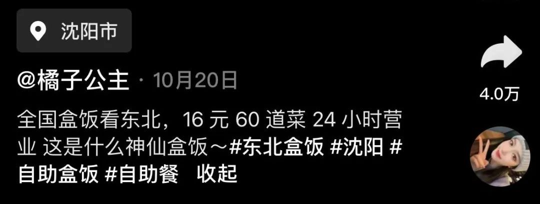 真藏不住了！东北盒饭火爆美国！十几块钱的“天花板盒饭”到底有多香