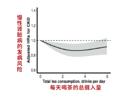 经常喝茶会伤肾吗？真相来了！爱喝茶和不喝茶的人都要看看