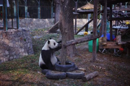 萌兰喜提改善型豪宅 萌兰喜提改善型豪宅