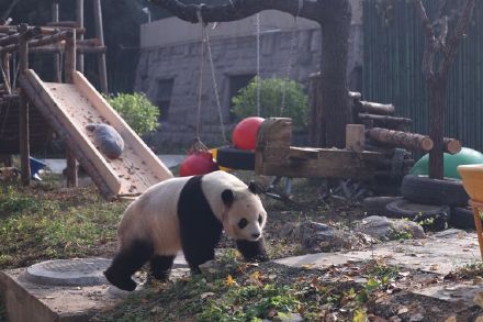 萌兰喜提改善型豪宅 萌兰喜提改善型豪宅