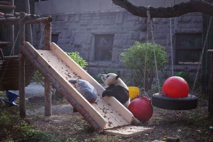 萌兰喜提改善型豪宅 萌兰喜提改善型豪宅