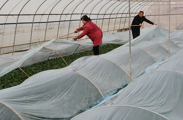 今年冬天冷不冷?官方回应:较常年同期偏高,但需注意的是... 今年冬天冷不冷?官方回应:较常年同期偏高,但需注意的是...