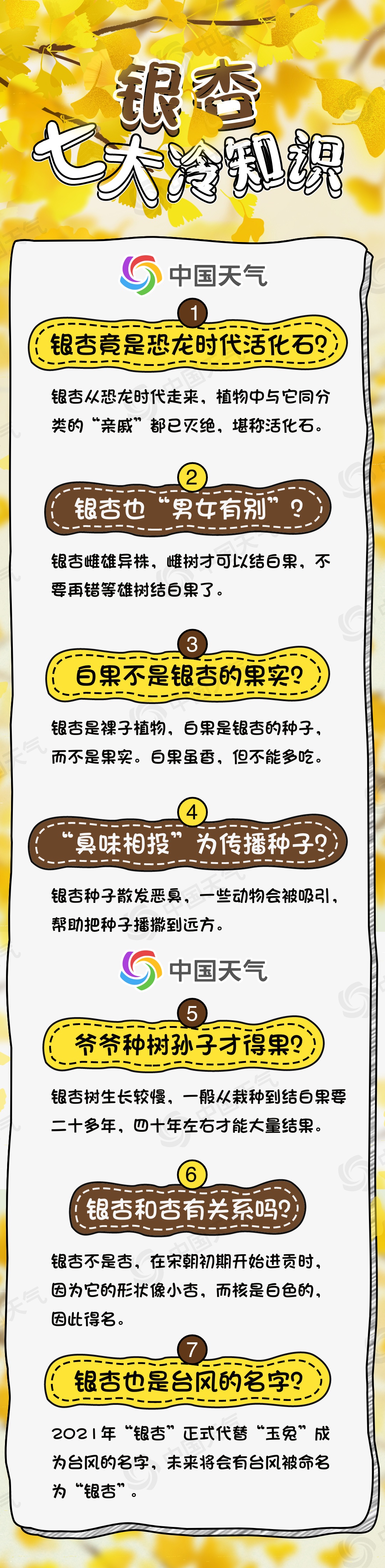 邂逅小“杏”运！全国银杏观赏地图出炉 这份观赏时间表请收好