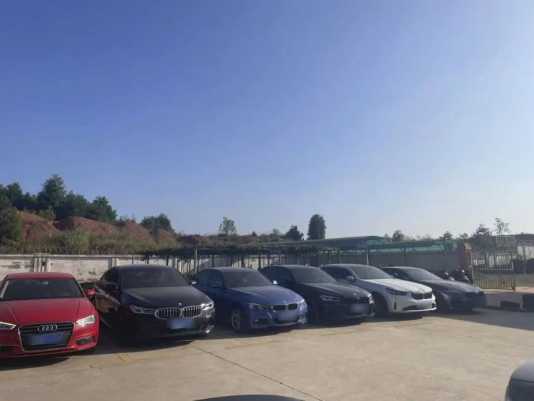 涉案1000余万！多名“老板”被抓