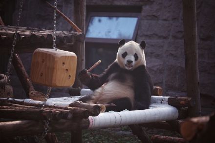 萌兰喜提改善型豪宅 萌兰喜提改善型豪宅