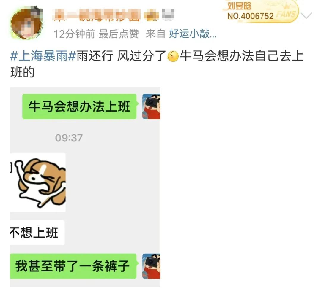 注意！上海强降水维持，三区预警升级！台风影响明天结束，冷空气下周光顾