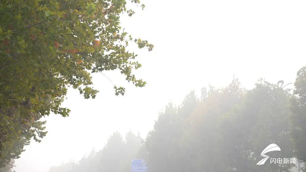 山东这些市出现浓雾！周日夜间较强冷空气来袭