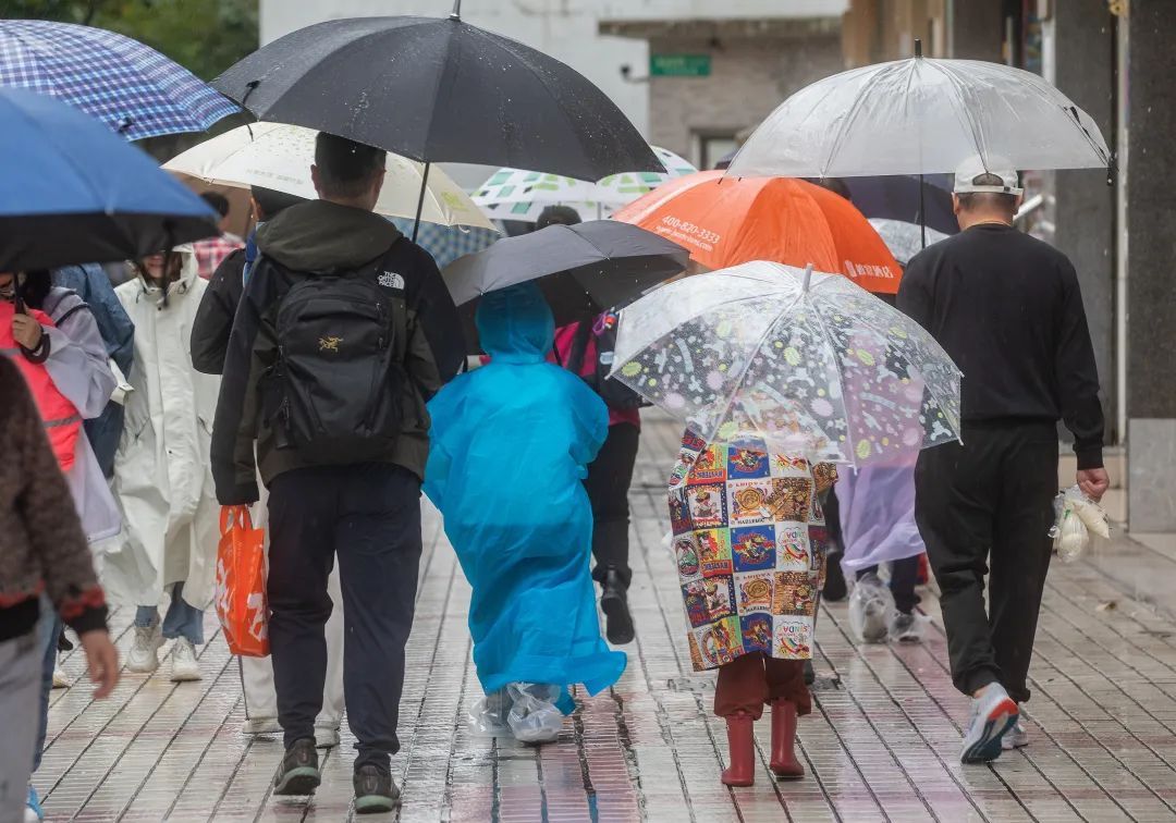 注意！上海强降水维持，三区预警升级！台风影响明天结束，冷空气下周光顾