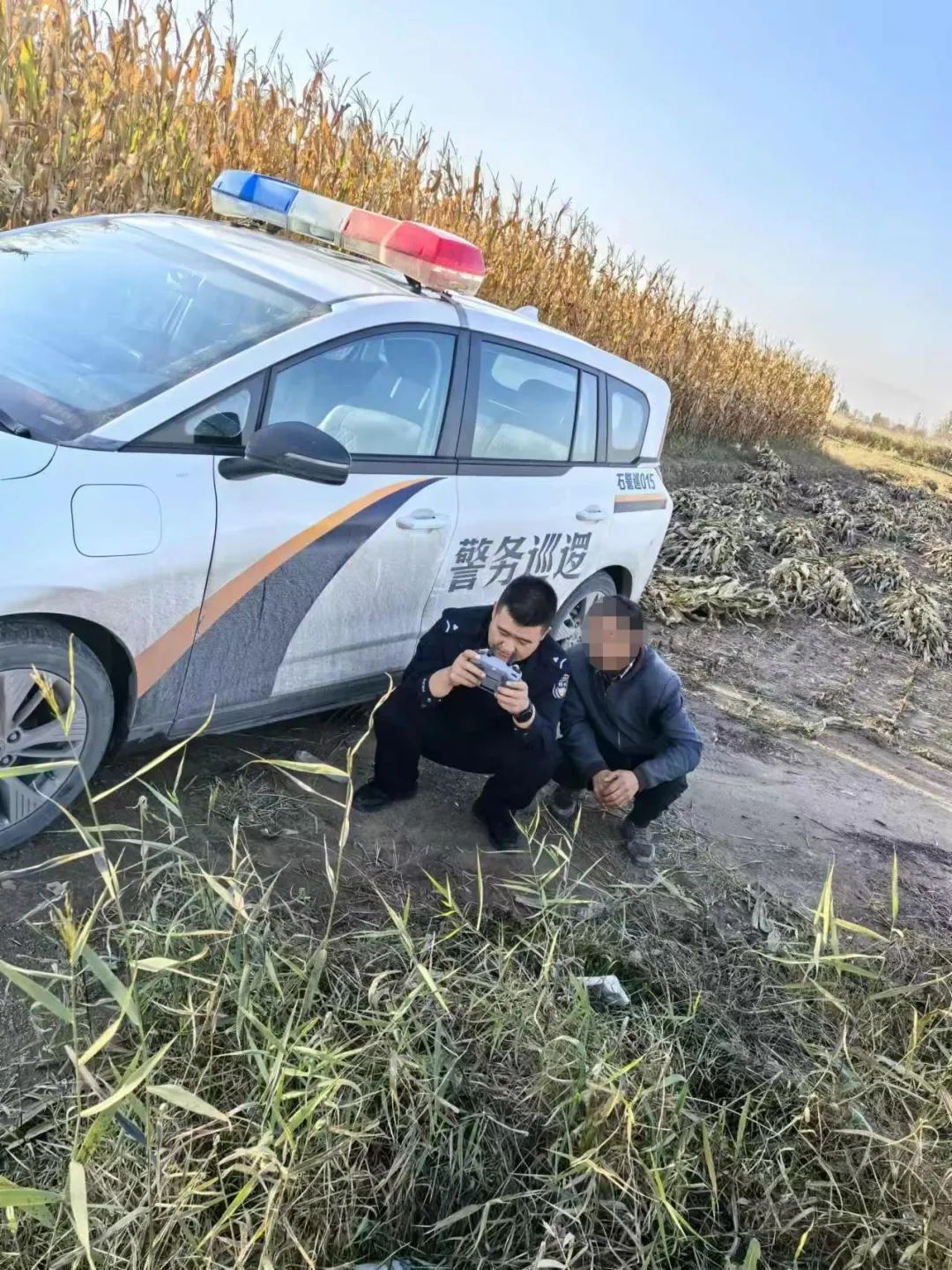 21只羊走失10天，找到了！