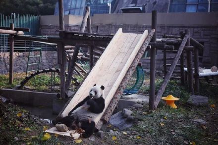 萌兰喜提改善型豪宅 萌兰喜提改善型豪宅