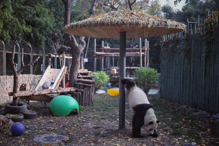 萌兰喜提改善型豪宅 萌兰喜提改善型豪宅