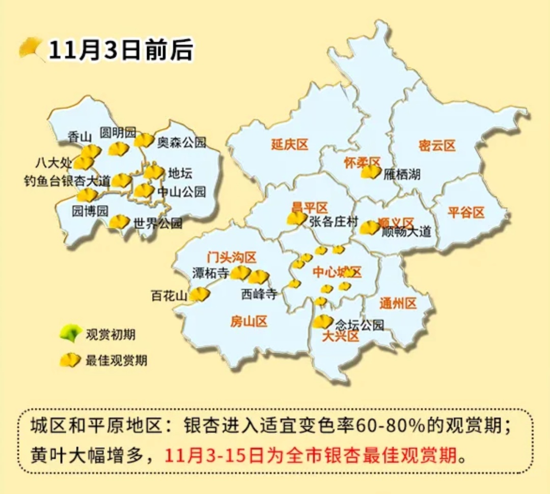 赏红叶、看银杏！这个周末北京去哪儿踏秋？彩叶观赏期预报来了！