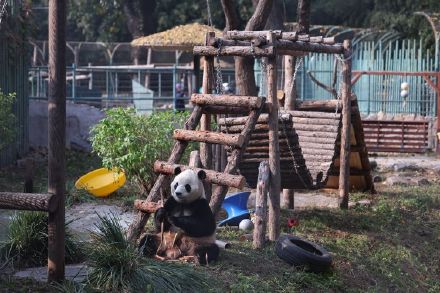 萌兰喜提改善型豪宅 萌兰喜提改善型豪宅