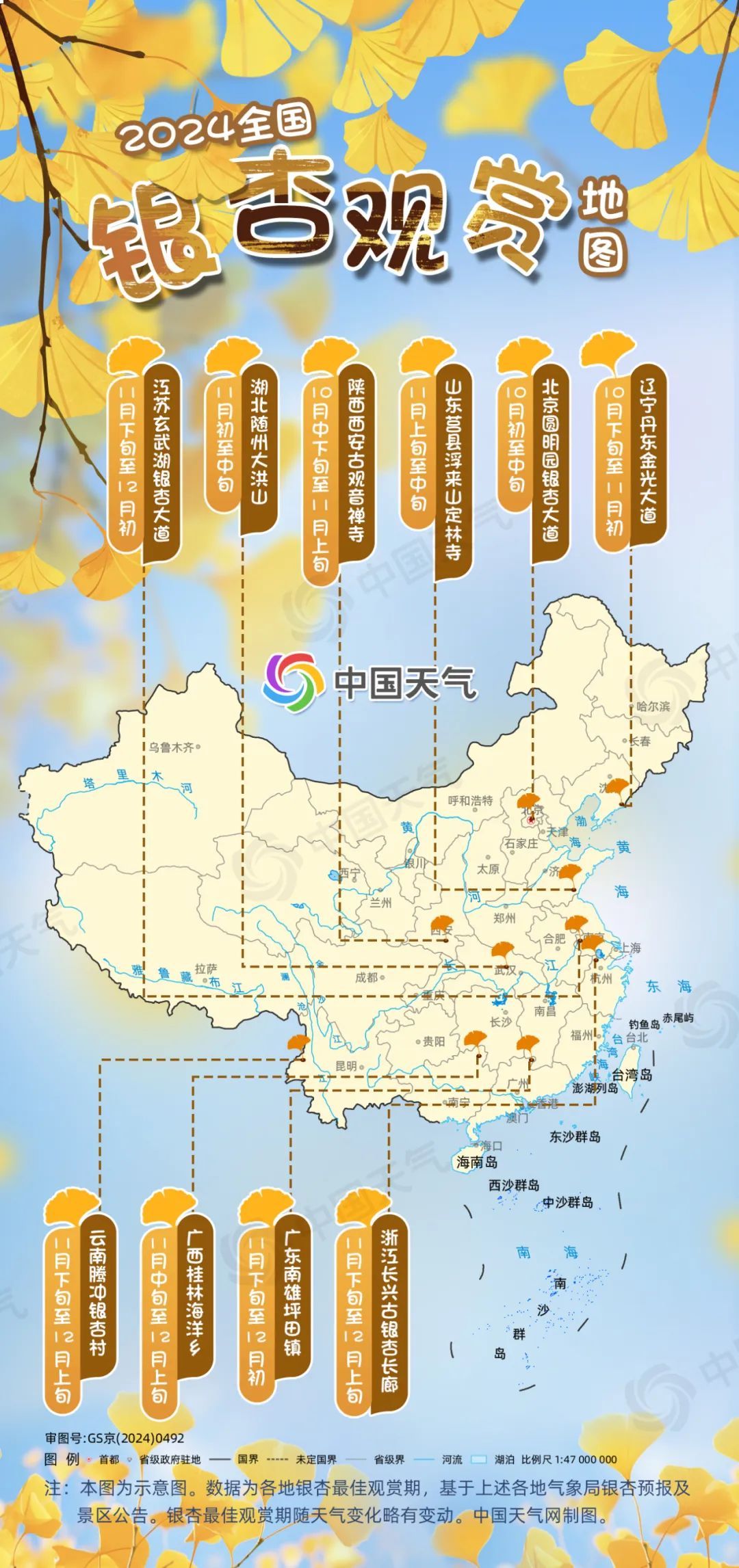 邂逅小“杏”运！全国银杏观赏地图出炉 这份观赏时间表请收好