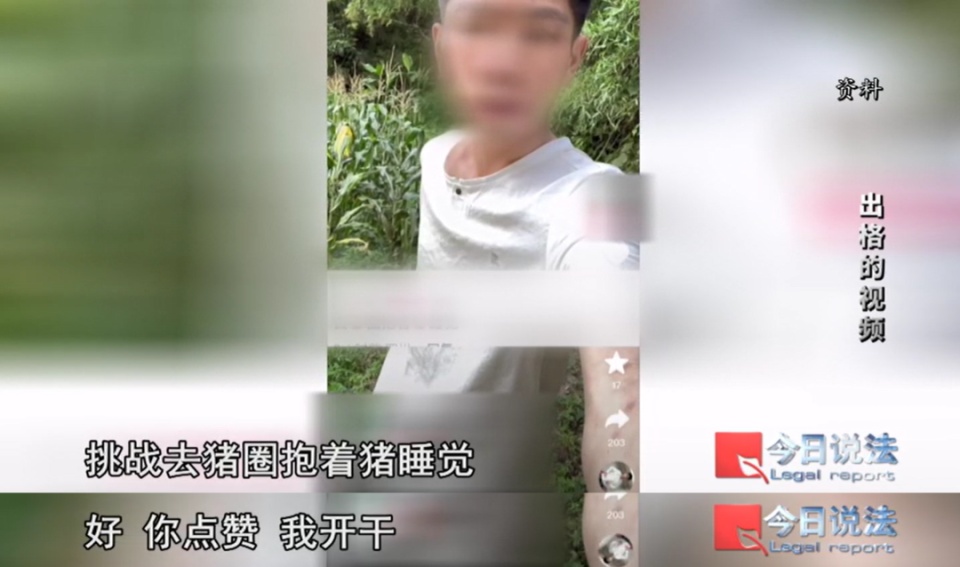 百万粉丝博主挑战吃猪饲料，当场表情失控！