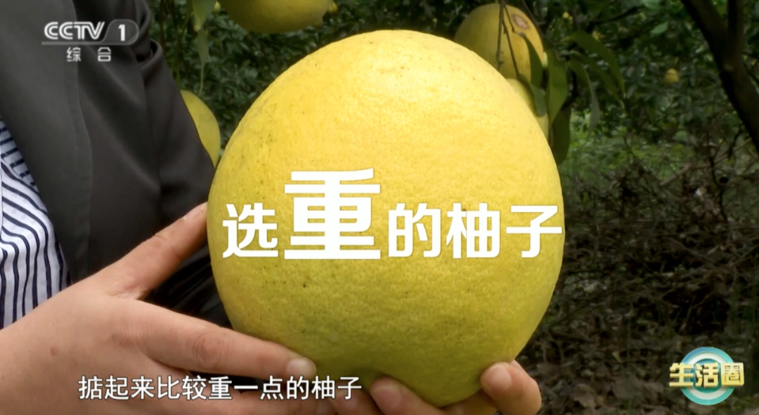 血糖高也能放心吃的水果,抗炎、抗癌、保护心血管,秋冬季正当时! 血糖高也能放心吃的水果,抗炎、抗癌、保护心血管,秋冬季正当时!