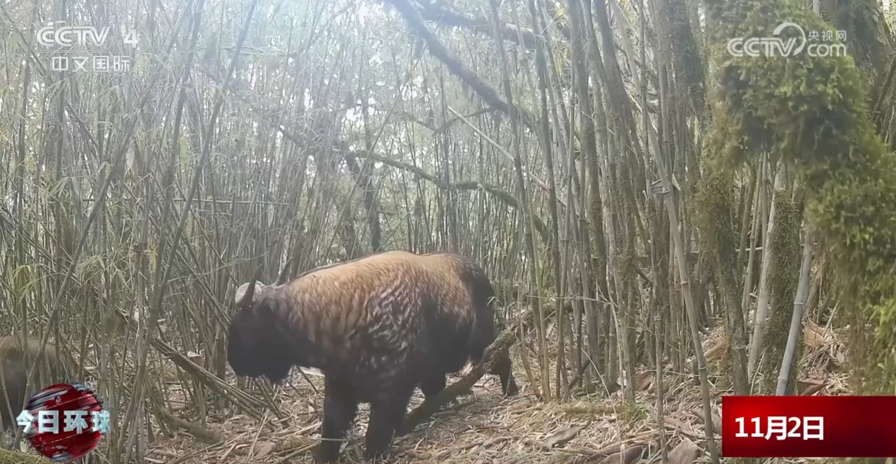 锦绣中华多姿多彩 一幅山川秀美的生态画卷正在徐徐展开