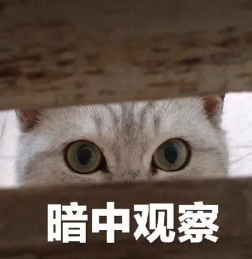 冷空气又来，广州气温最低降至“1字头”！广东疾控提醒这件事马上要做→