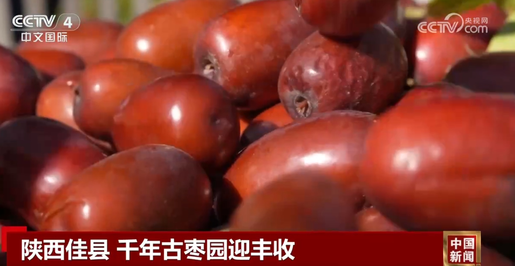 锦绣中华多姿多彩 一幅山川秀美的生态画卷正在徐徐展开