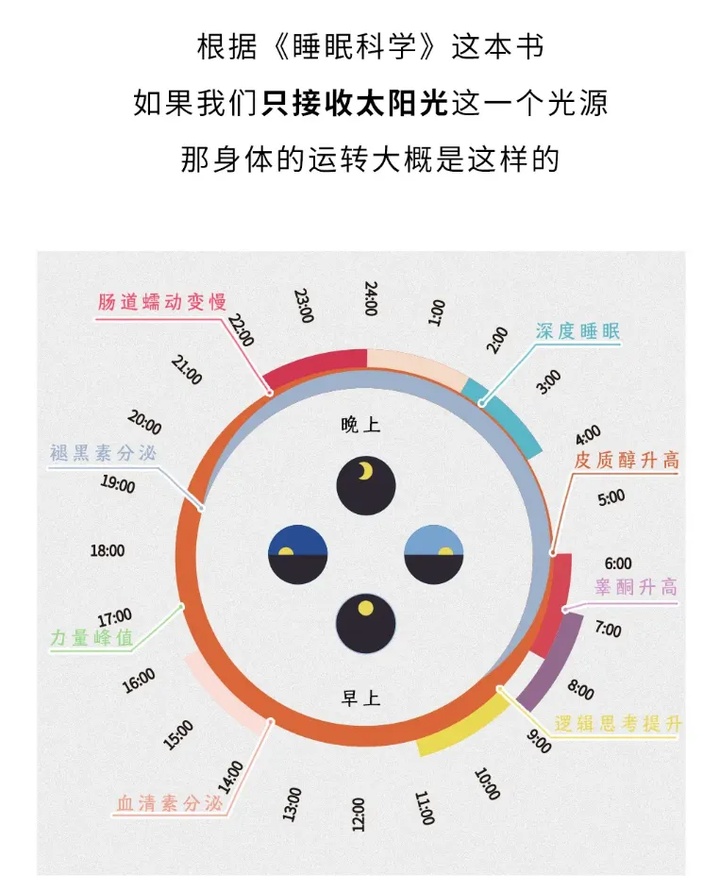 早睡早起VS晚睡晚起，到底哪个更健康