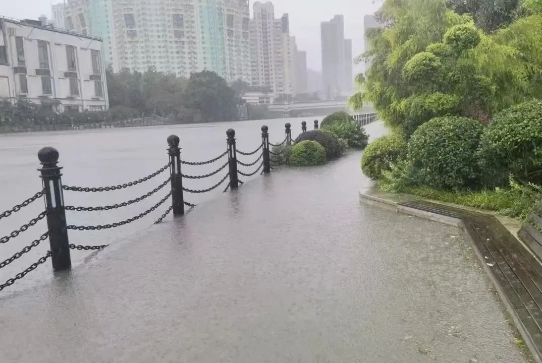 苏州河要漫出来了？上海市防汛办回应