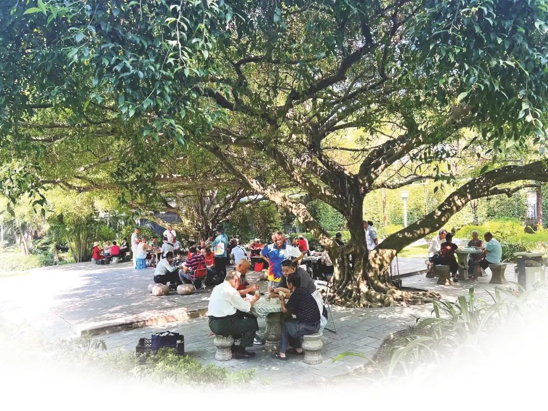 控噪！南宁五大公园将划分“安静区”