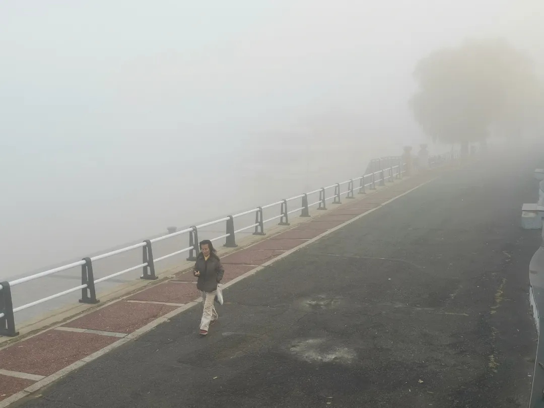 看不见！雾蒙蒙！京津冀等八省市大雾