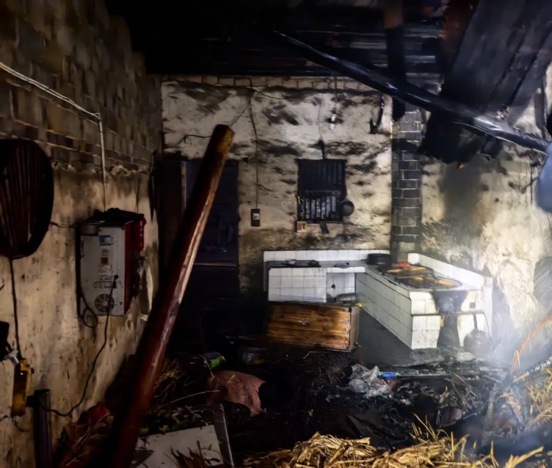 主人一离家，“黑化”红薯连同它们把家烧