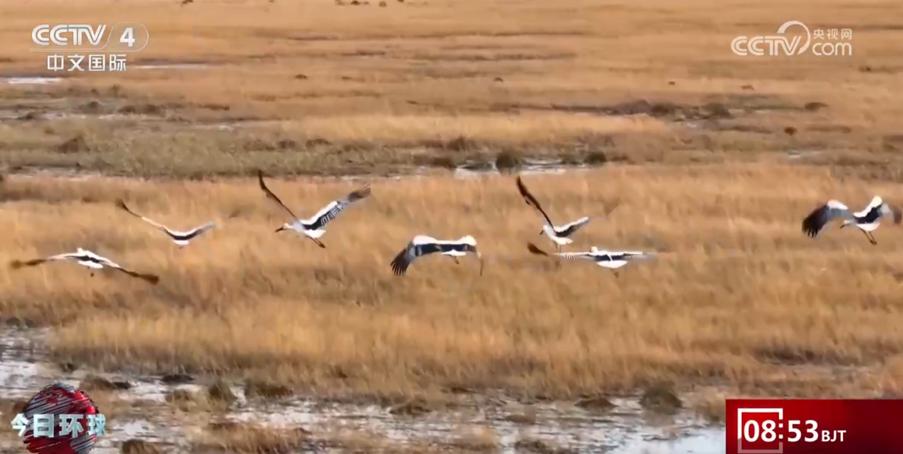 锦绣中华多姿多彩 一幅山川秀美的生态画卷正在徐徐展开