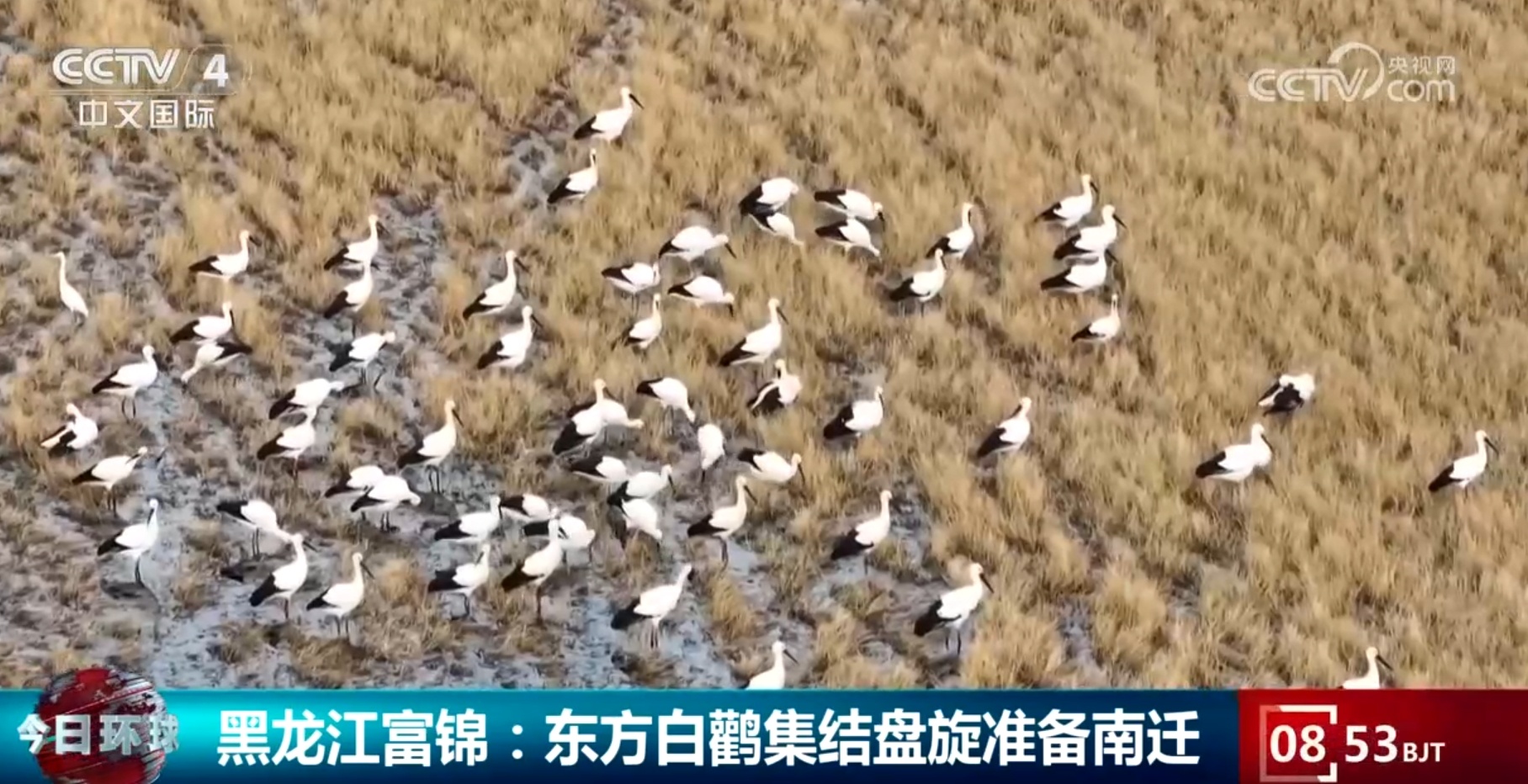 锦绣中华多姿多彩 一幅山川秀美的生态画卷正在徐徐展开