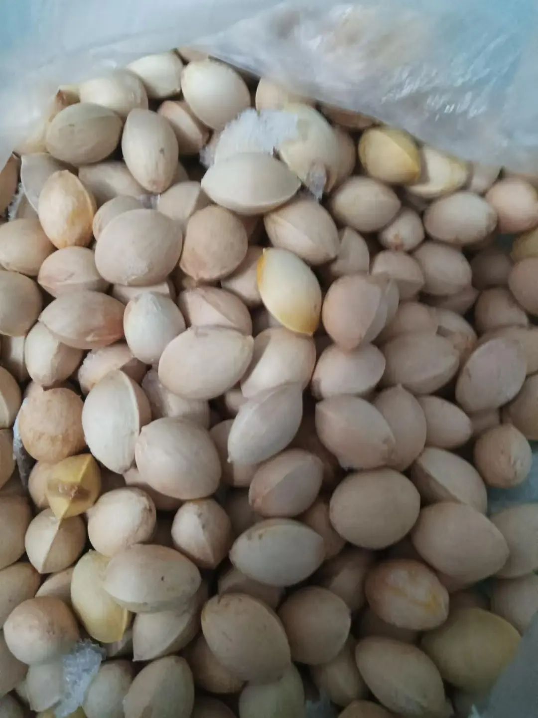 不要捡！不要吃！有杭州阿姨急送ICU，近期正大量出现