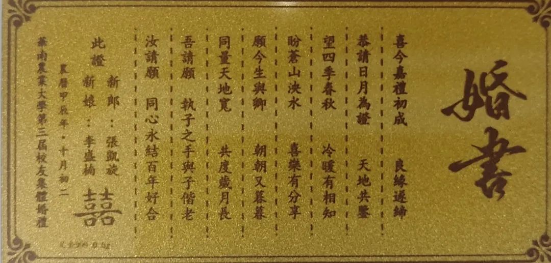 黄金婚书、交杯酸奶……高校校庆，52对新人的婚礼好甜！
