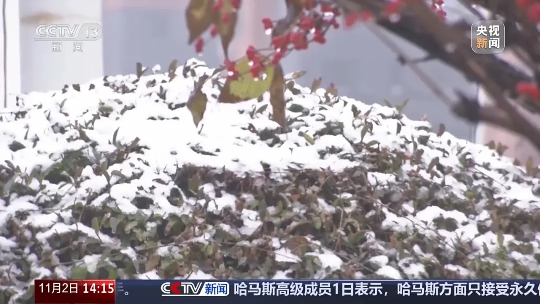 最低零下14℃+阵风9级+霜冻！明早很冷，河北发布双预警