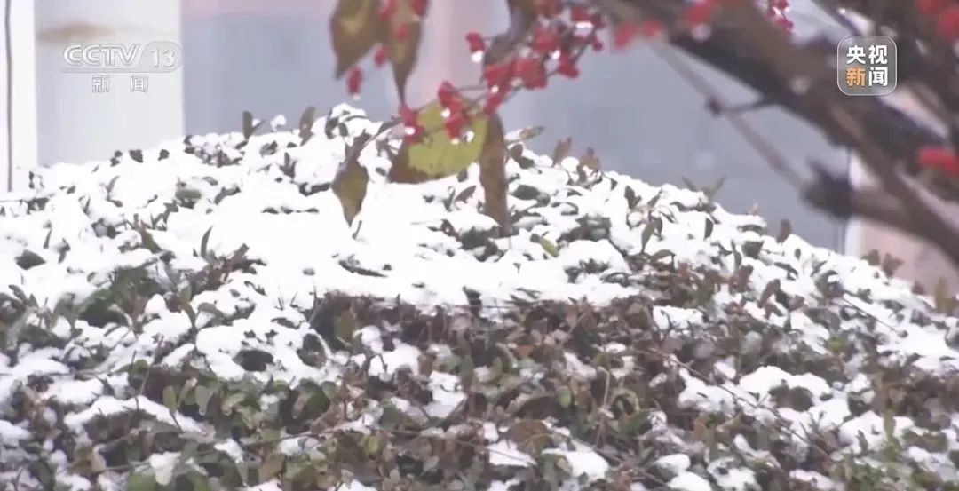 最低气温0°C，山东继续发布寒潮蓝色预警！今年是暖冬还是冷冬？最新研判