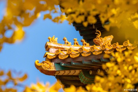 秋日故宫的色彩美学堪称一绝