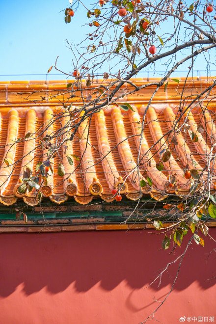 秋日故宫的色彩美学堪称一绝