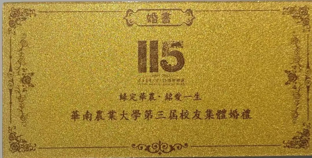 黄金婚书、交杯酸奶……高校校庆，52对新人的婚礼好甜！